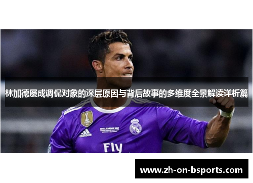 林加德屡成调侃对象的深层原因与背后故事的多维度全景解读详析篇
