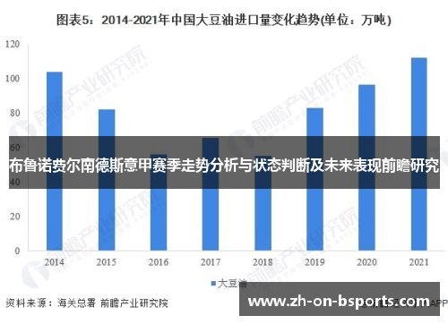 布鲁诺费尔南德斯意甲赛季走势分析与状态判断及未来表现前瞻研究 布鲁诺费尔南德斯意甲赛季走势分析与状态判断及未来表现前瞻研究