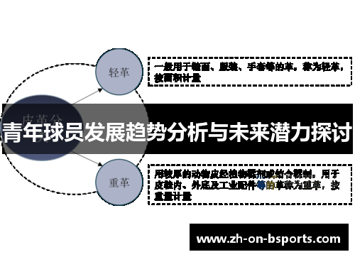 青年球员发展趋势分析与未来潜力探讨