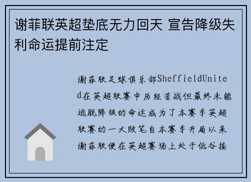 谢菲联英超垫底无力回天 宣告降级失利命运提前注定