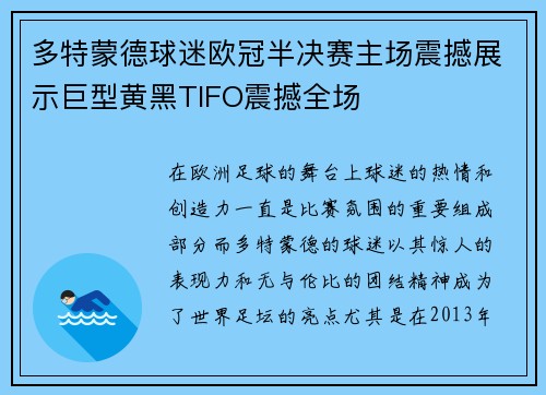多特蒙德球迷欧冠半决赛主场震撼展示巨型黄黑TIFO震撼全场