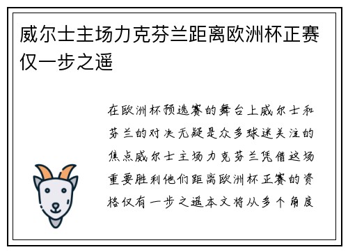威尔士主场力克芬兰距离欧洲杯正赛仅一步之遥